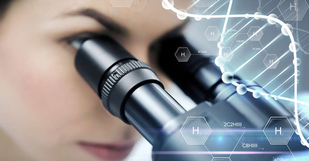 Biotechnologies Vignette